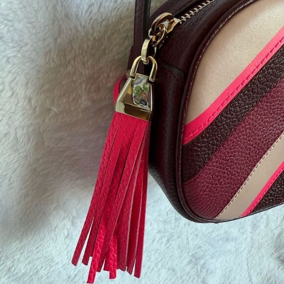 Kate Spade Kourtney Pink & Burgundy Chevron Crossbody Bag - Picture 3 of 10